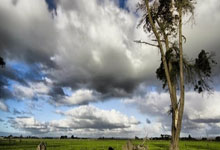 MK体育-关于欧超杯赛程吃紧；山东泰山今晨远射贴柱；悬念犹存；球探报告显示潜力的信息